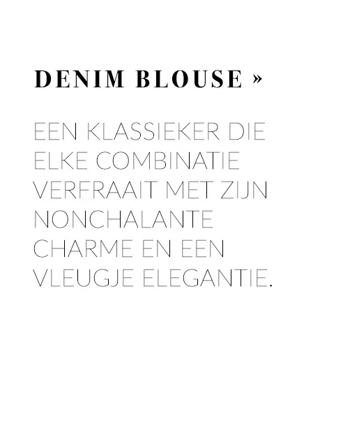 Denim Blouse